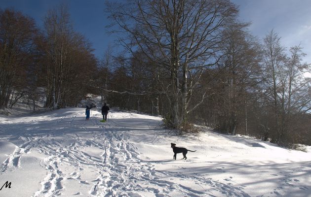 Le 12/11/2016 En allant vers la Borne de Savoie