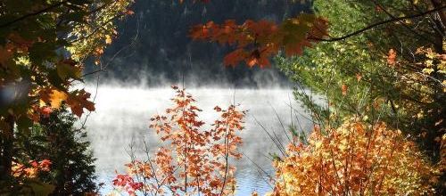 Automne en demi-teinte...