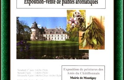 L'Assemblée Générale des Amis du Château de Montigny sur Aube et l'exposition-vente de plantes aromatiques...