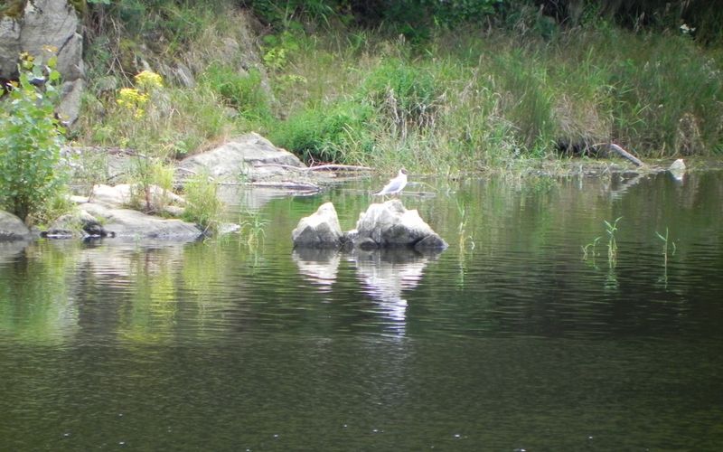 Ballade en bord de Loire
