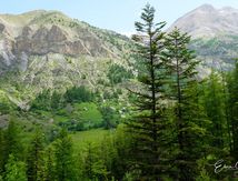 La boucle des cascades.