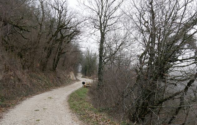 Le 4 février 2024 : Mais quelle idée !!! Cascade de Luizet