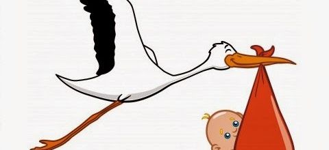 BLOG EN SEMI-PAUSE