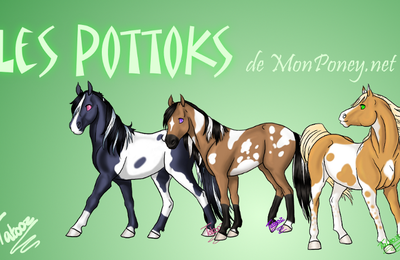 Pottok? Quelqu'un as dit pottok?