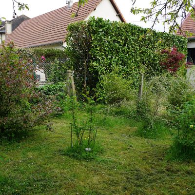 Le fond du jardin