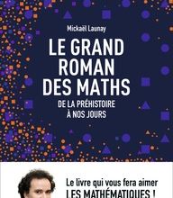Meilleur téléchargement de la collection de livres Le grand roman des maths  - De la préhistoire à nos jours 9782081378766 DJVU par Mickaël Launay (French Edition)