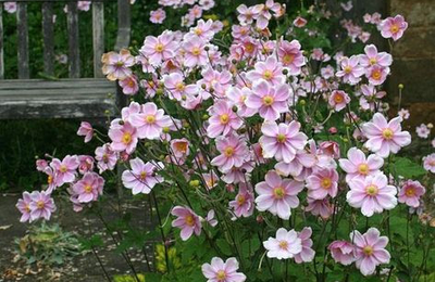 Printemps - Victor Hugo -