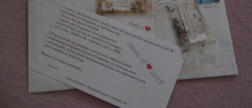 Des graines de joies (3)