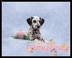 ATC Monochrome 10/12