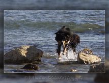 Après la montagne... la mer !