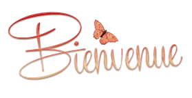 Communiqué de MélieMélo