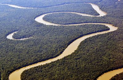 James, Percival Everett, traduit de l’anglais par Anne-Laure Tissut (L’Olivier)