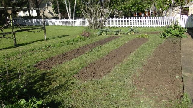 Petit tour au potager