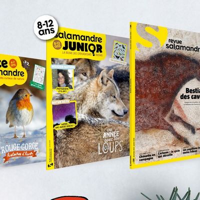 Des cadeaux de Noël intelligents...