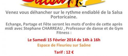 Stage de SALSA samedi 15 février de 14h à 16h à Fleurieu sur Saone