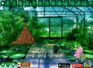 Termite mound forest escape soluce