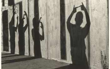 Comprendre les origines du racisme