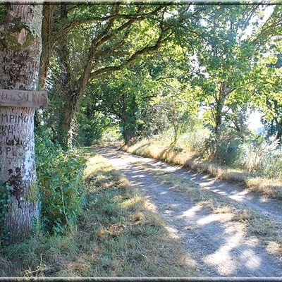 1067 - Larmor-Baden, dans le Morbihan (56) (Chez Popol) 