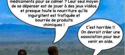 Tu savais qu'en Amérique du nord ...