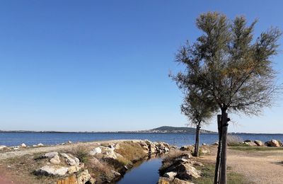 MEZE ET MARSEILLAN
