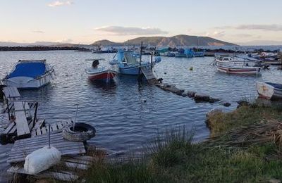 Une histoire de bleus et de blancs