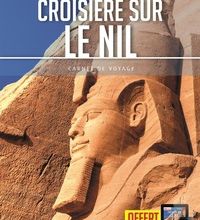 Ebooks téléchargement gratuit nederlands Croisière sur le Nil par Petit Futé
