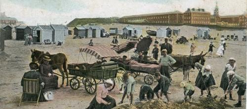 Quand l'âne se raconte