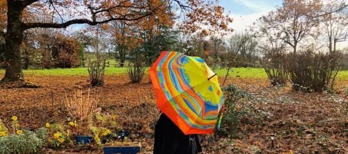 Parapluies à Charlieu