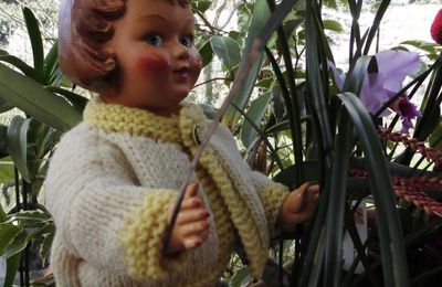 Défi Jardin d'hiver