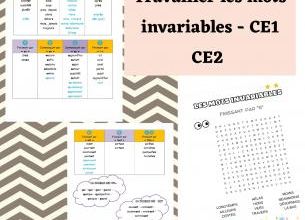 Les mots invariables 