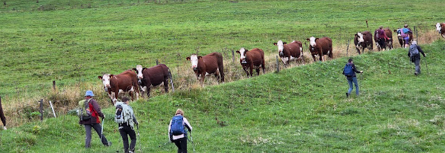 Singin' in the Rain  rando du mardi journee le 2 sept 25