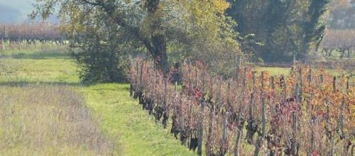 ... l'automne proche de l'hiver...