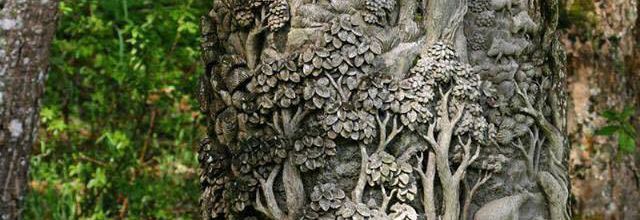 Le langage des arbres