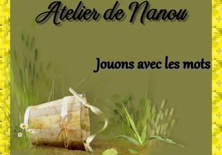 Proposition n°31