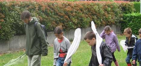 La pettie troupe part à la recherche de libellules avec Patrick l'animateur de l'atelier enfants de Lolayo !