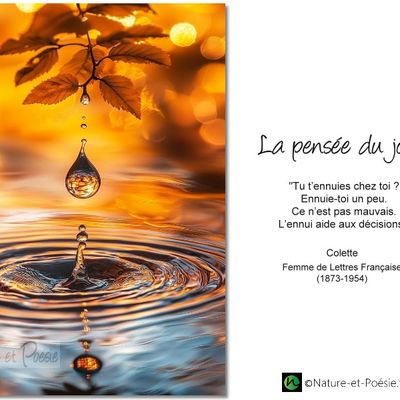 La pensée du jour (229)