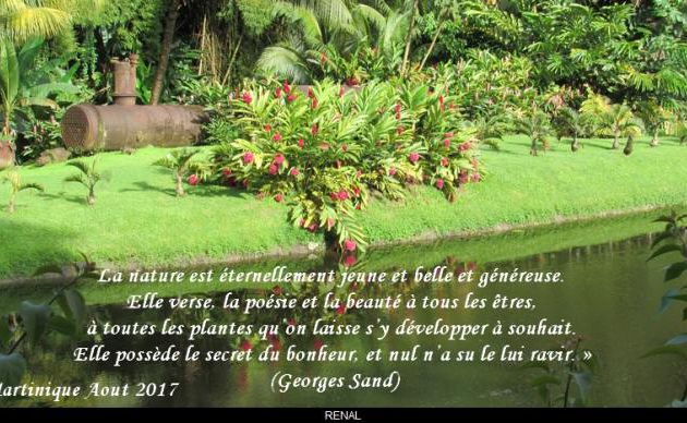 La nature...