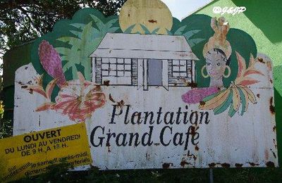 Guadeloupe (6) Basse Terre (1) Plantation bananes et distillerie Longueteau