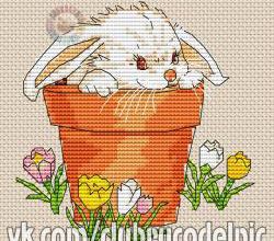 Lapin et crocus.....