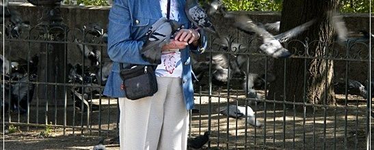 L'île de la Cité : La Dame aux pigeons