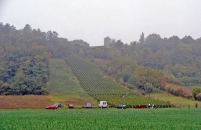 La fin des vendanges chez Sylvain Bouhélier...