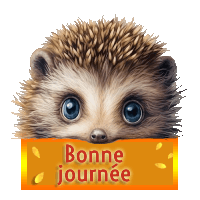 gif animé,BONNE JOURNEE,blinkie