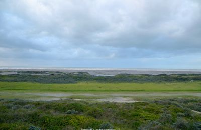 Cayeux-sur-mer - Somme (2 et fin)