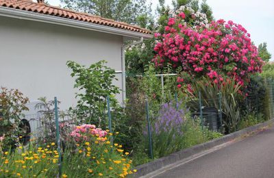 Le jardin est arrivé à maturité