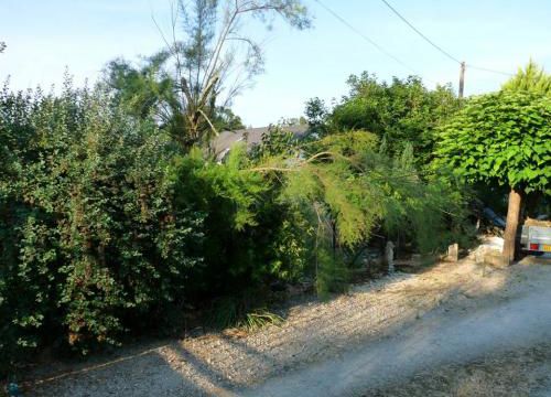 Canicule ...Le jardin a souffert de notre absence..