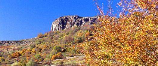 Astrologie d'automne