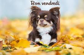 Recette d'automne