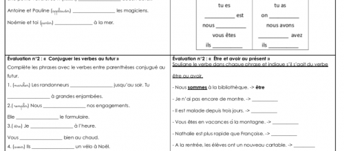 Les mini évaluations en français CE2 n°4