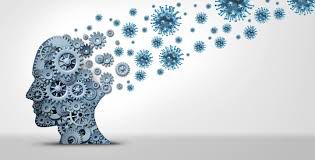 Un cerveau qui vieillirait moins vite