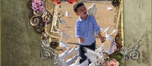 Le portrait d'un oiseau